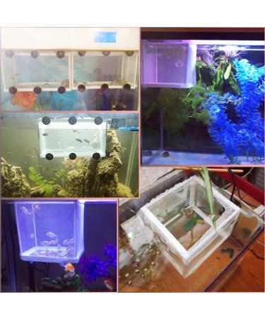 BRYHZKCM 2pcs Fish Hatchery Breeder Box - Large 10x6x6 Nylon Mesh Separation Net with Suction Cup - Buy Online on GoSupps.com