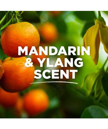 Tom's of Maine Complete Protection Deodorant 3-Pack - Mandarin & Ylang 2.25oz - Buy Online on GoSupps.com