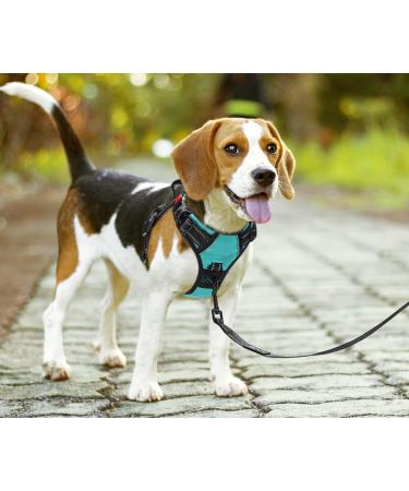 POPOT No Pull Dog Harness - Reflective Pet Vest with Control Handle for Daily Training & Walking - Mint Blue XL - Buy Online on GoSupps.com