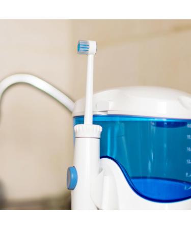 Leogony 6PCS Water Flosser Replacement Heads Water Flosser Tips for Waterpik - Buy Online on GoSupps.com