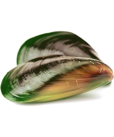 Greenfood Green Lip Mold 500 mg High Dose Extract 120 Capsules - NO Artificial Additives No Genetic Engineering - Buy Online on GoSupps.com