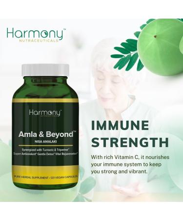 Amla & Beyond (Nisa Amalaki) Dr. Gumman's Clinical Grade Highest Potency Maximum Bioavailability - Buy Online on GoSupps.com