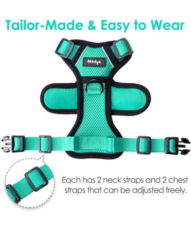 Breakproof Cat Leash Set & Adjustable Soft Kitten Vest with Reflective Stripes - Green Small Cat Dishes for Kittens - Buy Online on GoSupps.com