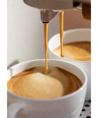 CREATE/100% Arabica Coffee Beans Special Blend/Combination of citrus apple and lemon nuances 250g - Buy Online on GoSupps.com