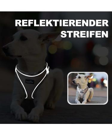 Haapaw Adjustable No Pull Dog Harness & Leash Set | Reflective Step-In Vest for Small to Medium Dogs | Beige Size L (Breast 45.7-50.8 cm) - Buy Online on GoSupps.com