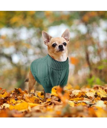 Warm Peacock Green Dog Sweater for Small Dogs - Winter Turtleneck Knit Sweater | Soft Stylish Pet Clothing - Buy Online on GoSupps.com