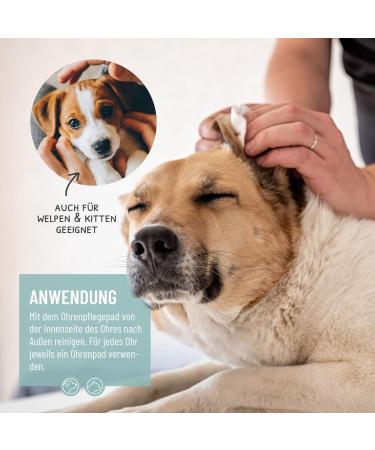 Reavet Ear Cleaner for Dogs & Cats - 100 Gentle Aloe Vera Pads for Ear Care | Mild Cleaning Towels - Buy Online on GoSupps.com