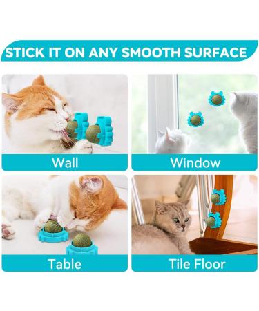 AUCENIX Cattion Mist Balls - Edible Dental Toys for Cats | Natural Rotating Cat Toys & Wall Rollers for Kittens (Blue) - Buy Online on GoSupps.com