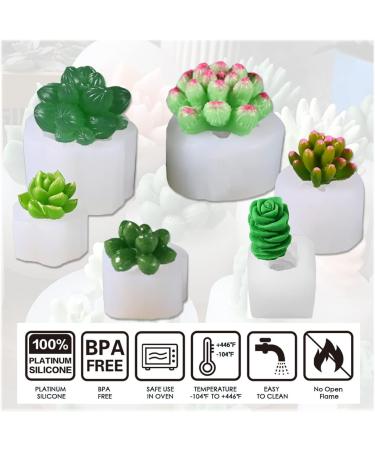 Actvty 6Pcs Succulent Silicone Molds - Cactus Flower Plants Molds for Cake Decorating  Fondant  Chocolate  Handmade Candle  Wax Melt  Soap  Epoxy Resin 6 Pcs - Buy Online on GoSupps.com