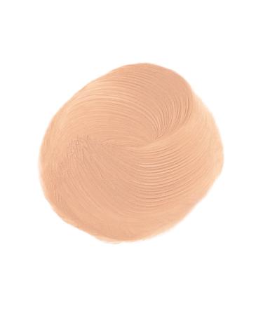 Elizabeth Arden Stroke Of Perfection Concealer Fair - Flawless Coverage - Buy Online on GoSupps.com