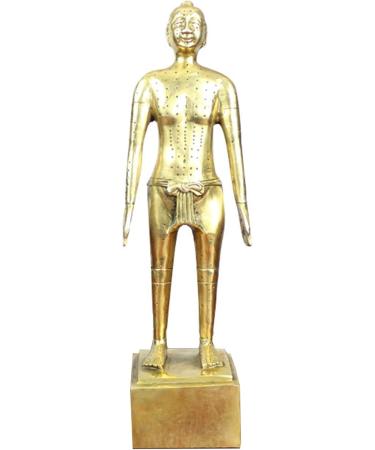 Human Acupuncture Pattern - Pure Copper Acupuncture Figurine Human Body Acupuncture Body Chinese Medicine Acupuncture for Model Studio Medical erbrist  - Buy Online on GoSupps.com