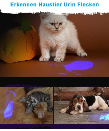 UV Light Torch Black Light 100 LED Ultraviolet Lamp Flashlight with UV Protection Glasses 395nm Led UV Flashlight Blacklight Torch Detector for Pet Urine Stains of Carpet/Floor Resin Camping Large - Buy Online on GoSupps.com
