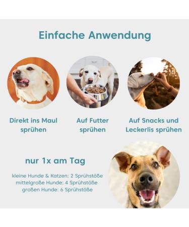 Pfot Buddies Dental Fairy Spray for Dogs & Cats - Natural Tartar Remover Fresh Breath & Dental Care - 100ml with 50 Fermented Herbs - Lasts Up to 9 Months - Buy Online on GoSupps.com