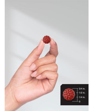 Horbaach Sambucus Black Elderberry Gummies - 60 Count | Vegan Non-GMO Gluten Free with Zinc & Vitamin C | Berry Flavor by Berkshire Labs - Buy Online on GoSupps.com