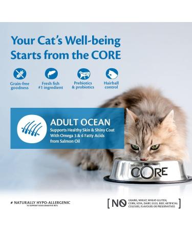 Wellness CORE Adult Ocean 300g Salmon & Tuna Dry Cat Food for All Cats Grain-Free High Fish Content Protein-Rich Supports Healthy Skin & Shiny Coat Ocean - Salmon & Tuna 300g - Buy Online on GoSupps.com