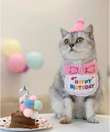 Cute Cat & Dog Birthday Party Supplies - Pink Birthday Bandana & Hat Set - Buy Online on GoSupps.com