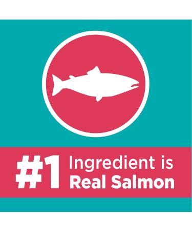 IAMS Proactive Health Dry Cat Food Adult - Indoor Weight & Hairball Care with Salmon 1.59kg Bag 1.59 kg (Pack of 1) Cat Food - Buy Online on GoSupps.com