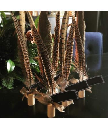 AWAYTR 20pcs Natural Female Pheasant Feathers - 8-11inch DIY Decoration - Buy Online on GoSupps.com