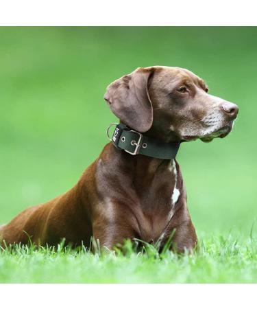 Tspro Tactical Dog Collar - Military Quality 3.8 cm Wide Adjustable L Size (52-60 cm) - Strong Thick with Robust Metal Buckle - Green - Buy Online on GoSupps.com