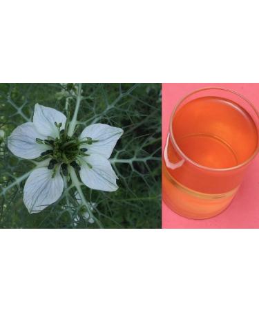 nacht Karunjeeragam/Black Cummins/Kala Jeera Powder 300 g - Buy Online on GoSupps.com