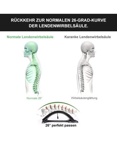 Dyna-Living Back Attack Stretcher | Spine Relaxation & Massage Device for Effective Back Pain Relief - Buy Online on GoSupps.com