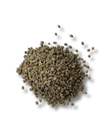 2 LBs Unroasted Green Coffee Beans from Costa Rica - 100% Arabica Beans - by Liquid Gold Coffee- Single Source Coffee - Buy Online on GoSupps.com