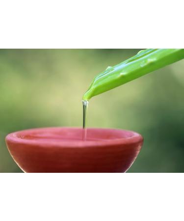  Lida Lida - 100% natural liquid hand soap with glycerin and aloe vera | Hand gel | Deep cleanses and moisturizes all skin types | Traditional preparation - 250ml - Buy Online on GoSupps.com