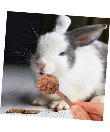 Sosoport 12pcs Pet Rabbit Snacks Rabbit Chewing Playthings Rabbit Biting Playthings Rabbit Chew Sticks Plant - Buy Online on GoSupps.com