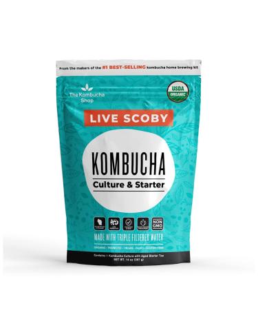Organic SCOBY Kombucha Starter Kit with Live Culture and Brewing Liquid for Fermented Tea - The Kombucha Shop