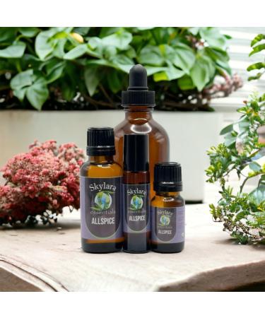 Organic Allspice Essential Oil for Calming Aroma Diffuser Candle Making | Long - Lasting Housewarming Gifts Thanksgiving and Christmas 10ml Roll-On Allspice 10ml Roll-On 0.33 Fl Oz (Pack of 1)