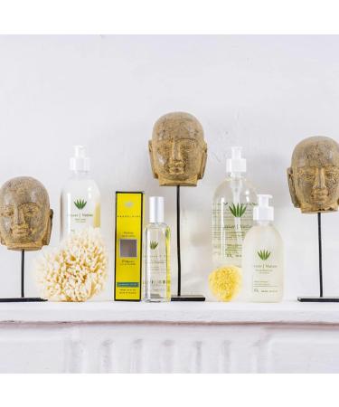 Provence Sante Eau de Toilette Spray - Luxury Long-Lasting Fragrance - Vetiver Scent - Elegant Perfume Gift - Made in France - 3.5 Oz - Buy Online on GoSupps.com