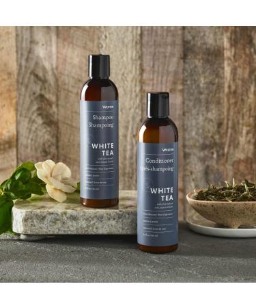 Westin White Tea Aloe Shampoo & Conditioner Set - 8oz Bottles - Signature Scent - Hotel Amenity - Buy Online on GoSupps.com