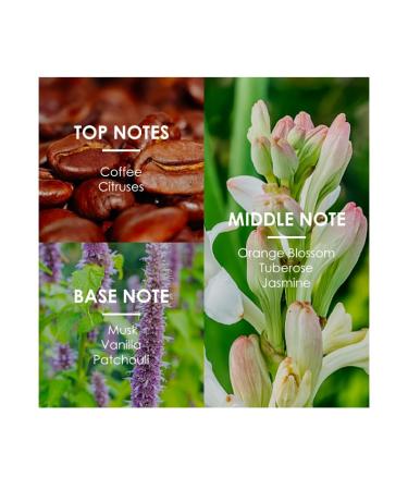 Petal Reverie/Muse Eau de Parfum 100ml Floral Fruity/Oriental Vanilla Notes Long-lasting Fragrance for Men and Women (gold) - Buy Online on GoSupps.com