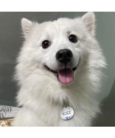 316 Surgical Grade Stainless Steel Cat Dog ID Tag for Sports Outdoor Collar Name Accessories Pet Nameplate Personalized Fun Shapes Heart Rose Gold Silver - Buy Online on GoSupps.com