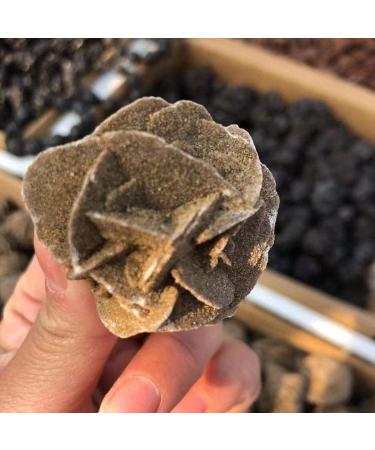 Natural Beautiful Quartz Desert Rose Crystal Selenite Raw Stones Specimens Rough Gem Stone Mineral Specimen - Buy Online on GoSupps.com
