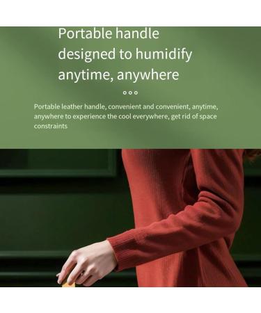 Spraying Mist Fan - Water Misting Spraying Mist Fan - Remote Control Humidifier Fan Desktop Spray Moisturizing Fan for Table Home Travel Offices Green B - Buy Online on GoSupps.com