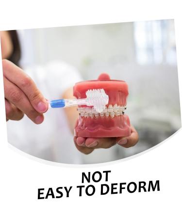 Gatuida 15 STK Prosthesis Cleaner | Dual-Sided False Toothbrush for Effective Denture Cleaning | International Shipping Available - Buy Online on GoSupps.com