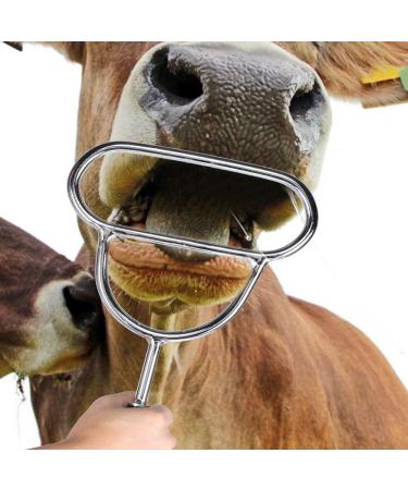 Cattle Dilator Smooth Edge Head Design Animals Dilator Cattle Animals for Home Horses - Buy Online on GoSupps.com