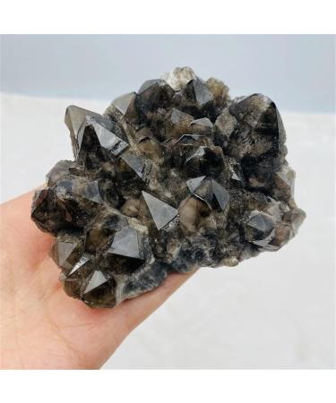 Room Decoration Natural Raw Crystal Stone Black Backbone Cluster for Fengshui (Size : 50-100g) - Buy Online on GoSupps.com