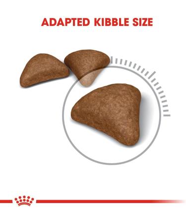 Royal Canin - Intense Hairball 34 / Hairball Elimination - 400 G Bag - Buy Online on GoSupps.com