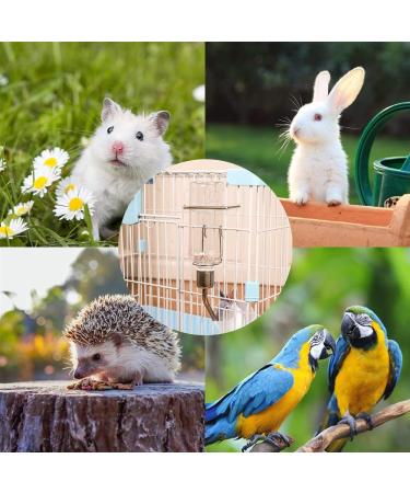 FZLANQ 1 PCS Rabbit Water Bottle Portable Guinea pig water bottle Water Bottle Feeder Hamster water bottle Hanging Water Drinking Feeder Dispenser for Guinea Pig Rabbit Chinchilla Bird Cat - Buy Online on GoSupps.com