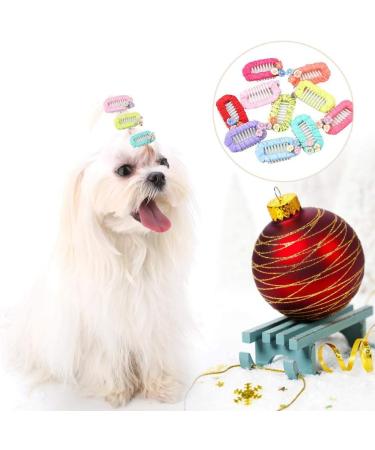 10Pcs Cute Flower Pet Hair Clips | Dog & Cat Grooming Headwear Accessories - Buy Online on GoSupps.com