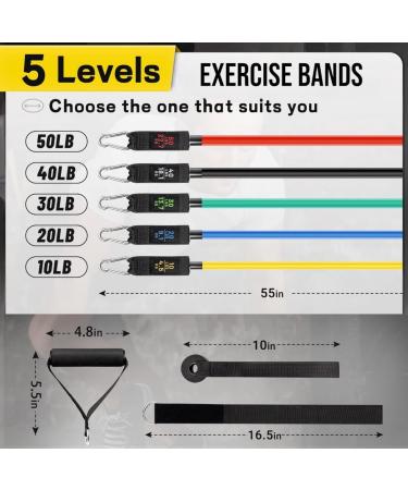 Buy Exercise Bands for Men & Women | Resistance Bands for Home Workouts Yoga & Physical Therapy | 10-150LBS Assorted | International Shipping Available - Buy Online on GoSupps.com