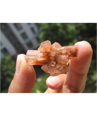 Natural Rare Aragonite Quartz Crystal Cluster Shape Rough Stone Nepheline Home Decor Gifts Beautiful Natural Luster (Size : 10pcs) - Buy Online on GoSupps.com
