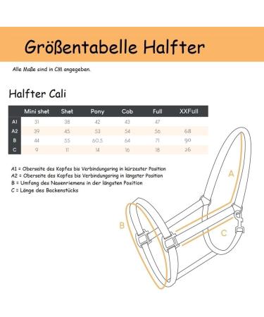 Buy Netproshop Solid Horse Halter - Padded & Adjustable Size | Mini Shetty to Full U Cold Blood | Cobalt Blue - Buy Online on GoSupps.com