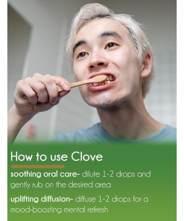 Clove Bud Essential Oil 16 fl oz (473 ml) Aluminum Bottle w/Plug Cap 100% Pure Essential Oil GreenHealth Clove Bud 16 Fl Oz (Pack of 1) - Buy Online on GoSupps.com