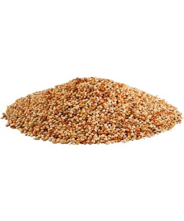 PANTO Budgie Ornamental Bird Food - Pluramin 5x1kg Economy Pack | Premium Nutrition for Healthy Birds - Buy Online on GoSupps.com