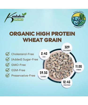 Koalakoi ORGANIC Certified Wheat Grain (4.5kg) | High Protein & Fibre | Premium Quality Non-GMO | 100% Natural | Source Of Minerals (4.5kg) - Buy Online on GoSupps.com