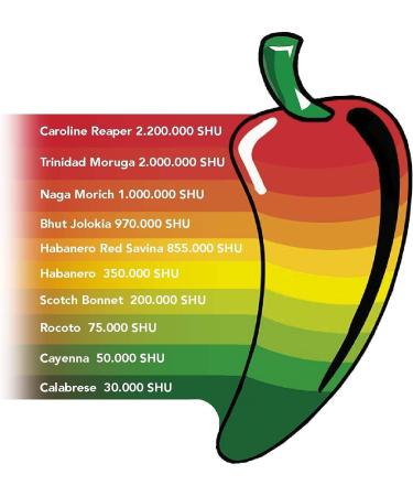 Moretti Chilli cream | 100% Calabrian 100% natural | Chili peppers grown and processed in Calabria with olive oil | Creamy spread | Made in Calabria (Habanero 1 piece) - Buy Online on GoSupps.com