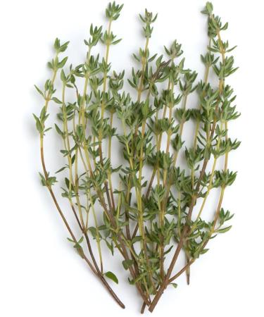  Tazarin LTD 500g Wild Thyme/Zaatar - Dried Thyme - Exceptional Aroma & Taste - 100% Natural Pure and Additive-Free - Buy Online on GoSupps.com